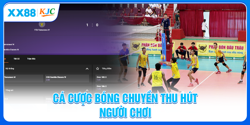 Cá cược bóng chuyền thu hút người chơi