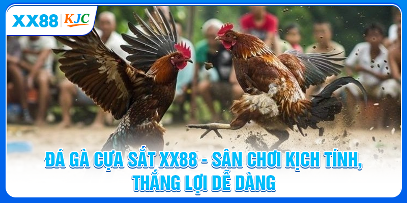 Đá Gà Cựa Sắt XX88 - Sân Chơi Kịch Tính, Thắng Lợi Dễ Dàng