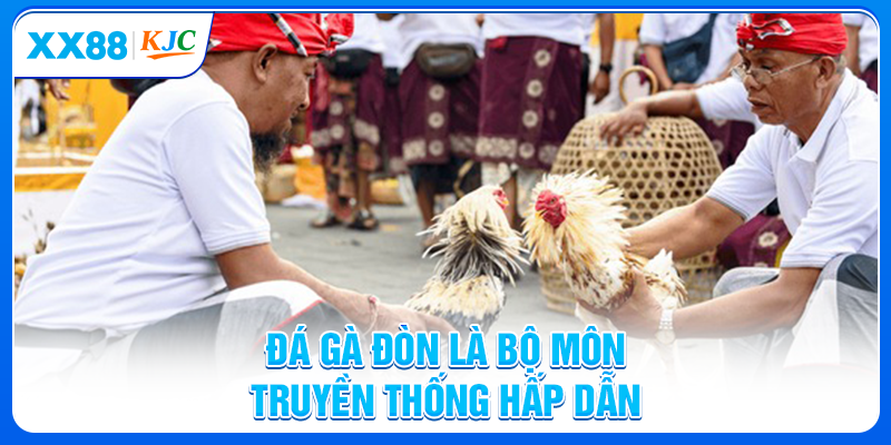 Đá gà đòn là bộ môn truyền thống hấp dẫn