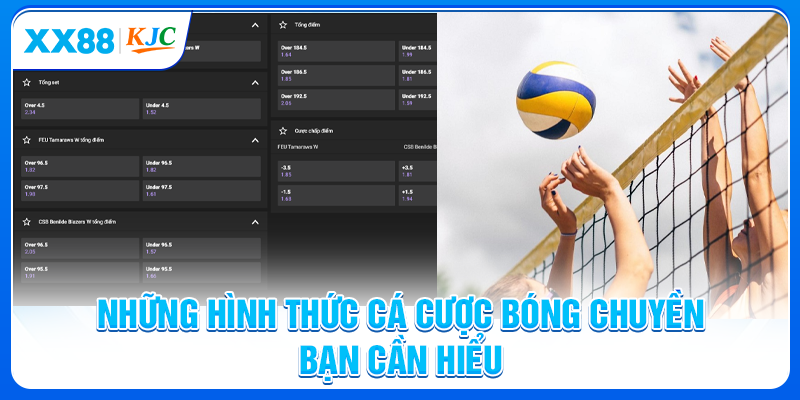 Những hình thức cá cược bóng chuyền bạn cần hiểu